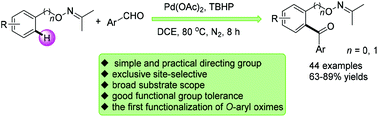 Graphical abstract: Palladium-catalyzed direct mono-aroylation of O-arylmethyl and aryl-substituted acetoxime ethers