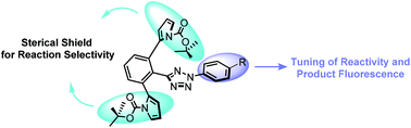 Graphical abstract: Sterically shielded tetrazoles for a fluorogenic photoclick reaction: tuning cycloaddition rate and product fluorescence