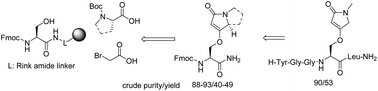 Graphical abstract: N α-Amino acid containing privileged structures: design, synthesis and use in solid-phase peptide synthesis