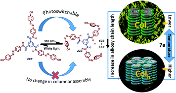 Graphical abstract: Reversibly photoswitchable alkoxy azobenzenes connected benzenetricarboxamide discotic liquid crystals with perpetual long range columnar assembly