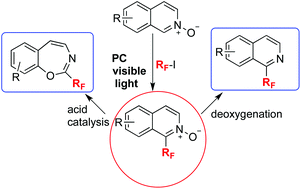 Graphical abstract: Organic dye-photocatalyzed fluoroalkylation of heteroarene-N-oxide derivatives