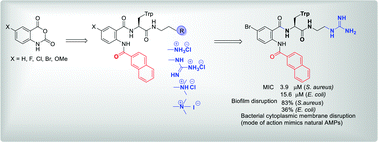 Graphical abstract: Guanidine functionalized anthranilamides as effective antibacterials with biofilm disruption activity