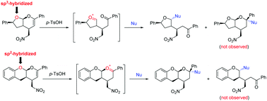 Graphical abstract: Different hybridized oxygen atoms controlled chemoselective formation of oxocarbenium ions: synthesis of chiral heterocyclic compounds