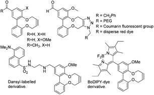 Graphical abstract: Synthesis and cycloaddition reactions of strained alkynes derived from 2,2′-dihydroxy-1,1′-biaryls