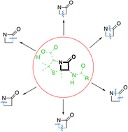 Graphical abstract: Recent advances in β-lactam synthesis