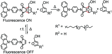 Graphical abstract: Dynamic Diels–Alder reactions of maleimide–furan amphiphiles and their fluorescence ON/OFF behaviours