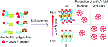 Graphical abstract: Immune responses against Lewis Y tumor-associated carbohydrate antigen displayed densely on self-assembling nanocarriers