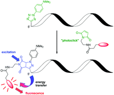 Graphical abstract: Fluorogenic “photoclick” labelling of DNA using a Cy3 dye