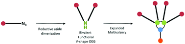 Graphical abstract: Expedient synthesis of trifunctional oligoethyleneglycol-amine linkers and their use in the preparation of PEG-based branched platforms