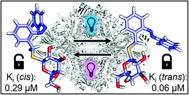 Graphical abstract: Development of photoswitchable inhibitors for β-galactosidase