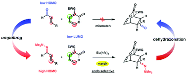 Graphical abstract: Inverse-electron-demand Diels–Alder reactions of α,β-unsaturated hydrazones with 3-methoxycarbonyl α-pyrones