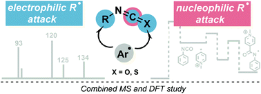 Graphical abstract: Regioselectivity of aryl radical attack onto isocyanates and isothiocyanates