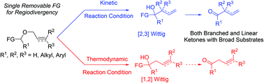 Graphical abstract: A removable functional group strategy for regiodivergent Wittig rearrangement products