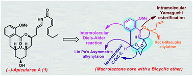 Graphical abstract: A synthetic study toward the core structure of (−)-apicularen A