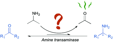 Graphical abstract: The challenge of using isopropylamine as an amine donor in transaminase catalysed reactions