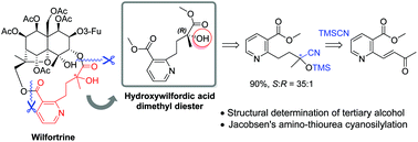 Graphical abstract: Enantioselective synthesis and absolute configuration determination of hydroxywilfordic acid in sesquiterpene pyridine alkaloids