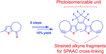 Graphical abstract: Highly reactive bis-cyclooctyne-modified diarylethene for SPAAC-mediated cross-linking