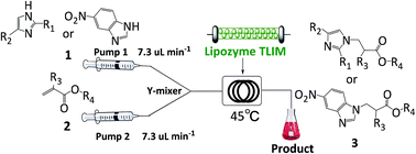 Graphical abstract: The convenient Michael addition of imidazoles to acrylates catalyzed by Lipozyme TL IM from Thermomyces lanuginosus in a continuous flow microreactor