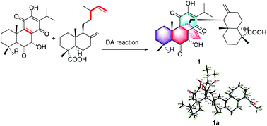 Graphical abstract: Taiwanoids A–D, four dimeric diterpenoids featuring tetracyclic [7. 75, 9. 4. 05, 10. 08, 9] octodecane from Taiwania cryptomerioidesim