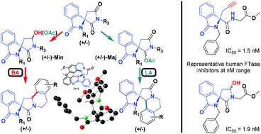 Graphical abstract: Access to 3-spiroindolizines containing an isoindole ring through intra-molecular arylation of spiro-N-acyliminium species: a new family of potent farnesyltransferase inhibitors