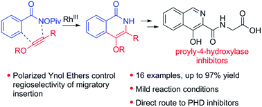 Graphical abstract: Accessing 4-oxy-substituted isoquinolinones via C–H activation and regioselective migratory insertion with electronically biased ynol ethers