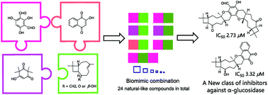 Graphical abstract: Meroterpene-like compounds derived from β-caryophyllene as potent α-glucosidase inhibitors