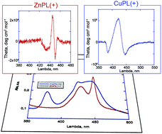 Graphical abstract: Kinetic and spectroscopic studies on the chiral self-aggregation of amphiphilic zinc and copper (l)-prolinate-tetraarylporphyrin derivatives in different aqueous media