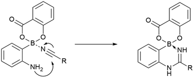 Graphical abstract: Facile amidinations of 2-aminophenylboronic acid promoted by boronate ester formation