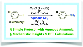 Graphical abstract: Copper-catalyzed arene amination in pure aqueous ammonia