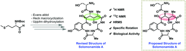 Graphical abstract: Total synthesis of the potent anti-inflammatory natural product solomonamide A along with structural revision and biological activity evaluation