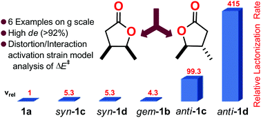 Graphical abstract: Exploiting the vicinal disubstituent effect on the diastereoselective synthesis of γ and δ lactones