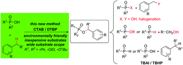 Graphical abstract: Cetyltrimethyl ammonium bromide catalysed oxidative cross dehydrogenative coupling of benzylic C(sp3)–H bonds in methylarenes with P(O)–OH compounds