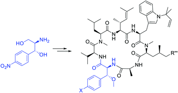 Graphical abstract: Synthesis of modified β-methoxyphenylalanines via diazonium chemistry and their incorporation in desoxycyclomarin analogues