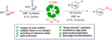 Graphical abstract: Atom-economical selenation of electron-rich arenes and phosphonates with molecular oxygen at room temperature