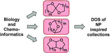 Graphical abstract: Bicyclic acetals: biological relevance, scaffold analysis, and applications in diversity-oriented synthesis