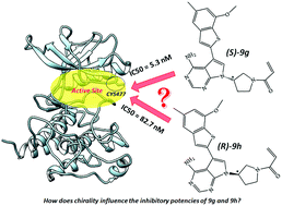 Graphical abstract: The irony of chirality – unveiling the distinct mechanistic binding and activities of 1-(3-(4-amino-5-(7-methoxy-5-methylbenzo[b]thiophen-2-yl)-7H-pyrrolo[2,3-d]pyrimidin-7-yl)pyrrolidin-1-yl)prop-2-en-1-one enantiomers as irreversible covalent FGFR4 inhibitors