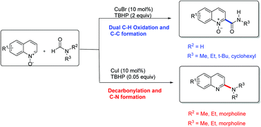 Graphical abstract: Cu-Catalyzed carbamoylation versus amination of quinoline N-oxide with formamides