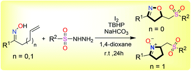 Graphical abstract: Metal-free oxysulfonylation and aminosulfonylation of alkenyl oximes: synthesis of sulfonylated isoxazolines and cyclic nitrones