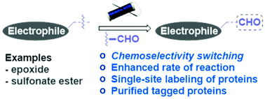 Graphical abstract: Aldehydes can switch the chemoselectivity of electrophiles in protein labeling
