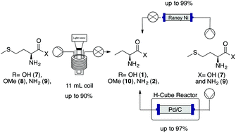 Graphical abstract: Continuous-flow protocol for the synthesis of enantiomerically pure intermediates of anti epilepsy and anti tuberculosis active pharmaceutical ingredients