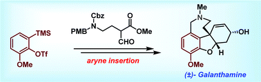 Graphical abstract: Total synthesis of (±)-galanthamine from GABA through regioselective aryne insertion