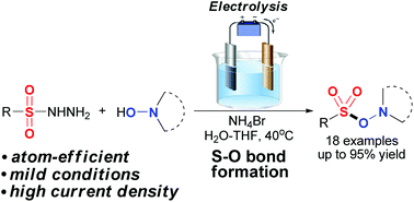 Graphical abstract: Electrochemically induced oxidative S–O coupling: synthesis of sulfonates from sulfonyl hydrazides and N-hydroxyimides or N-hydroxybenzotriazoles