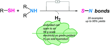 Graphical abstract: Scalable electrochemical oxidant-and metal-free dehydrogenative coupling of S–H/N–H
