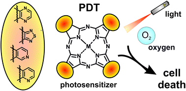 Graphical abstract: Photodynamic properties of aza-analogues of phthalocyanines