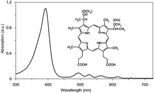 Graphical abstract: Bactericidal effects of hematoporphyrin monomethyl ether-mediated blue-light photodynamic therapy against Staphylococcus aureus