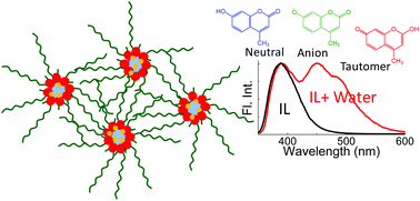 Graphical abstract: Excited-state prototropism of 7-hydroxy-4-methylcoumarin in [Cnmim][BF4] series of ionic liquid–water mixtures: insights on reverse micelle-like water nanocluster formation