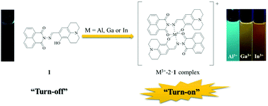 Graphical abstract: A multifunctional selective “turn-on” fluorescent chemosensor for detection of Group IIIA ions Al3+, Ga3+ and In3+