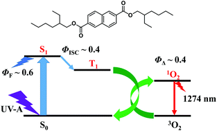 Graphical abstract: Photophysical properties of diethylhexyl 2,6-naphthalate (Corapan TQ), a photostabilizer for sunscreens