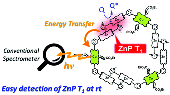 Graphical abstract: Visualization of nonemissive triplet species of Zn(ii) porphyrins through Cu(ii) porphyrin emission via the reservoir mechanism in a porphyrin macroring