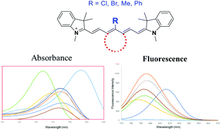 Graphical abstract: Introduction of various substitutions to the methine bridge of heptamethine cyanine dyes Via substituted dianil linkers